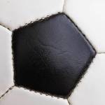 Waltman, West named to MASL Week 4 Team of the Week