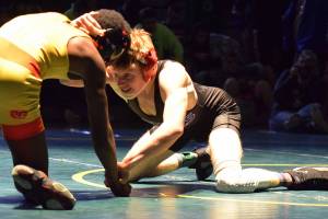 Royals place at Doc Herren Invitational