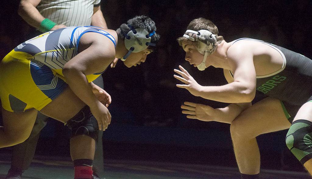 Conks roll to dual meet victory