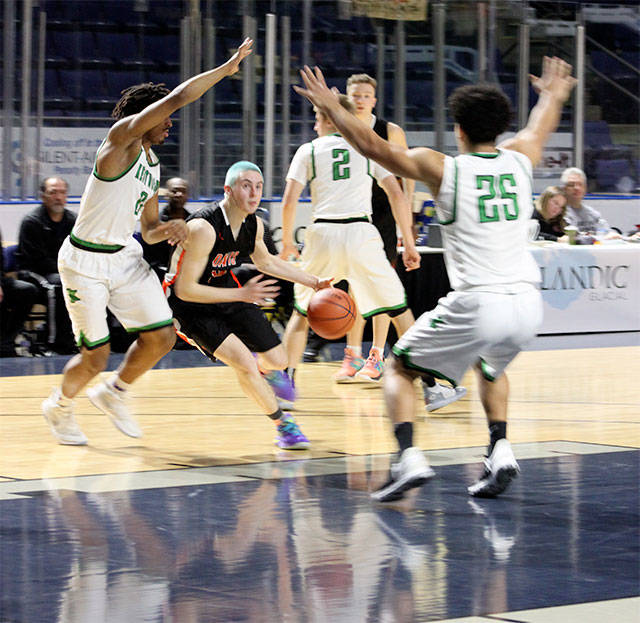 Photos by Sarah Brenden