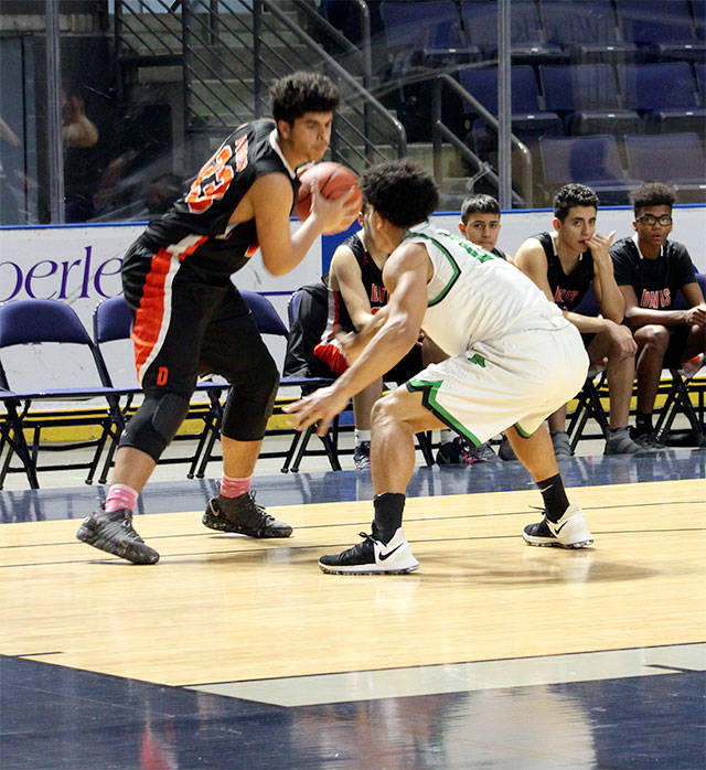 Photos by Sarah Brenden