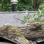 Windstorm to join snowstorm this weekend in Kent