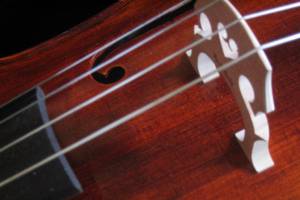 Auburn Symphony musicians present Romantic Brothers on March 31