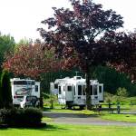 KOA will need to replace 30 campsites in Kent because of a Green River levee project by the King County Flood Control District. COURTESY PHOTO, KOA