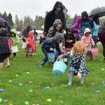 RACHEL CIAMPI PHOTO, Auburn Reporter