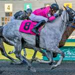 Awhitesportscoat wins a Sunday thriller