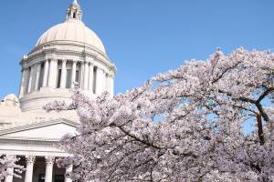 Washington State Capitol. Photo by Emma Epperly, WNPA Olympia News Bureau