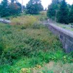 The city of Kent will make improvements to the Upper Mill Creek Dam to increase flood storage and add a fish ladder. COURTESY PHOTO, City of Kent