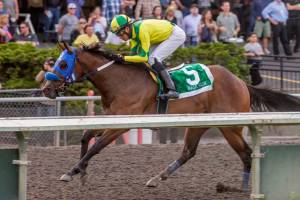 Undefeated Baja Sur, with Franklin Ceballos up, returns to action in Sundays $50,000 Coca-Cola Stakes for 3-year-olds at Emerald Downs. COURTESY TRACK PHOTO