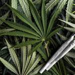 Three members of international drug trafficking conspiracy receive prison sentences