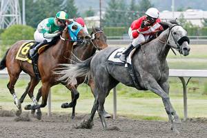 Ima Happy Cat and Rocco Bowen clear in the stretch en route to capturing the $50,000 Seattle Stakes last year. COURTESY TRACK PHOTO