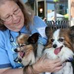 Diane Lee of Old Dog Haven shows off two fostered dogs, Celia Mae, left, and Selima, at last years pet adoption event at Kent Station. MARK KLAAS, Kent Reporter