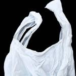 Kent City Council to consider plastic bag ban