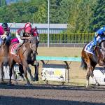 Muncey (No. 1) collars Harbors Rule (No. 3) in WTBOA Lads Stakes at Emerald Downs on Sunday. COURTESY TRACK PHOTO