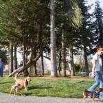 Renovated park for all to use