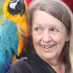 Fans flock to Kent’s Hawktoberfest