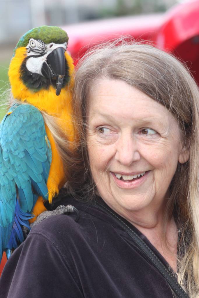 Fans flock to Kent’s Hawktoberfest