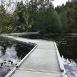 Toxin levels unsafe at Kent’s Lake Fenwick