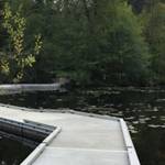 Toxin levels unsafe at Kent’s Lake Fenwick