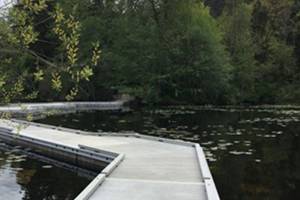 Toxin levels unsafe at Kent’s Lake Fenwick