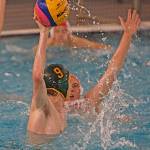 COURTESY PHOTO, Tracy Arnold