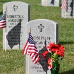 Honoring those who served and sacrificed