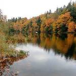 Kent city officials hope an upgrade to the aerator system at Lake Fenwick helps improve water quality. COURTESY PHOTO, City of Kent