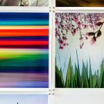 A colorful photographic collaboration on display at Kent Centennial Center Gallery