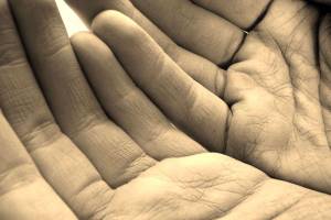 Pets And You Reiki supports healthy body, spirit for people and pets