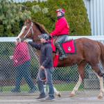 Barkley, the 2018 Longacres Mile champion, and Jennifer Whitaker were first on the track for winter training at Emerald Downs on Monday. COURTESY PHOTO