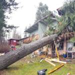 Firefighters and rescue units worked to clear a man who had been pinned under a storm-blown tree that damaged an apartment complex in Renton, unincorporated King County early Sunday. COURTESY PHOTO, Puget Sound Fire