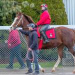 Emerald Downs still plans to have horse racing season in 2020