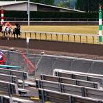 Betting surges at Emerald Downs even without fans in grandstands