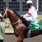 Jockey Juan M. Gutierrez on Benny the Jet won the third race opening day June 24 at Emerald Downs. STEVE HUNTER, Kent Reporter