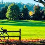 Van Doren’s Landing Park in Kent to close until August 2022