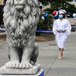 A Kent-Meridian High graduate walks toward the lion statue on campus. STEVE HUNTER, Kent Reporter