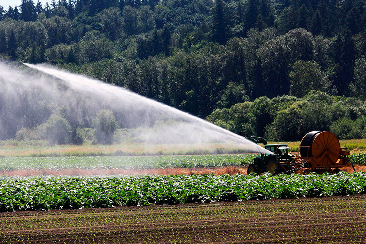 Farming on Frager | A Kent Photo Moment