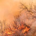 Safety tips for preventing brush fires