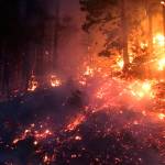 Fire burns the hillside near SR 410 in Enumclaw the morning of Sept. 9. COURTESY PHOTO, state Department of Transportation