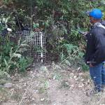 City outreach administrator prods homeless from sleeping in Auburn parks