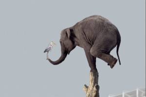 An artist's conception of the proposed sculpture to be placed in the pedestrian plaza of the incoming Federal Way Link Extension.