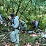 COURTESY PHOTO, City of Kent
Crews from Clean Harbors Environmental Services use pulleys and rope to gather trash left by homeless encampments along the steep slopes at Mill Creek Canyon.