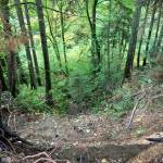 A look at Mill Creek Canyon after crews removed all of the trash left by homeless encampments. COURTESY PHOTO, City of Kent