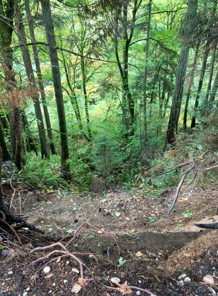 A look at Mill Creek Canyon after crews removed all of the trash left by homeless encampments. COURTESY PHOTO, City of Kent