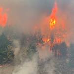 Flames attack the hillside in Bonney Lake on Sept. 8, 2020. (East Pierce Fire Rescue photo)