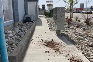 (Suzie Green / Facebook)