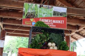 Courtesy Photo, Living Well