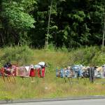 Shopping carts from nearby stores are lined up along South 320th Street and 32nd Avenue South in Federal Way on June 16. Two other similar displays have been placed on or near public sidewalks in recent days. Olivia Sullivan/Sound Publishing