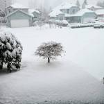 Snow fell heavily on Sunday, Dec. 26 in Kent. COURTESY PHOTO, Kenya Hopkins