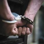 Image courtesy Metro Creative Connections